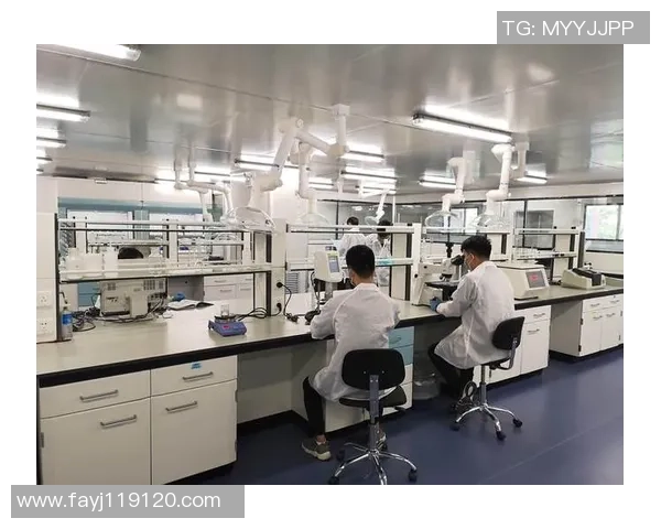 广州极限运动队实力分析与表现评估的全面数据研究