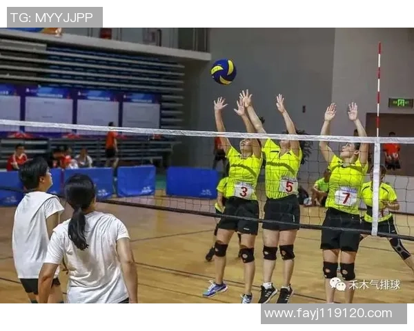 杭州排球队的辉煌征程与精英赛的突破之路探秘 杭州排球队的辉煌征程与精英赛的突破之路探秘